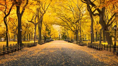 Rastro del oto&ntilde;o