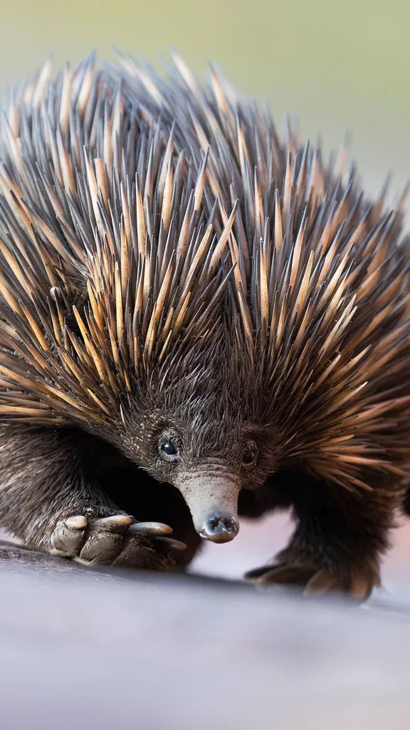 Wo Gegens&auml;tze zusammenfinden