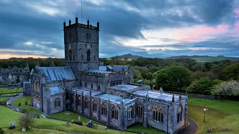 Happy Saint David's Day!