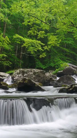 Ein Fluss, der Geschichten erz&auml;hlt