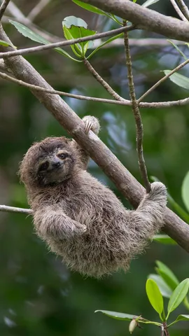 Con calma e per piacere!