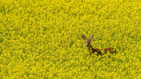 La procrastination &agrave; l'honneur !