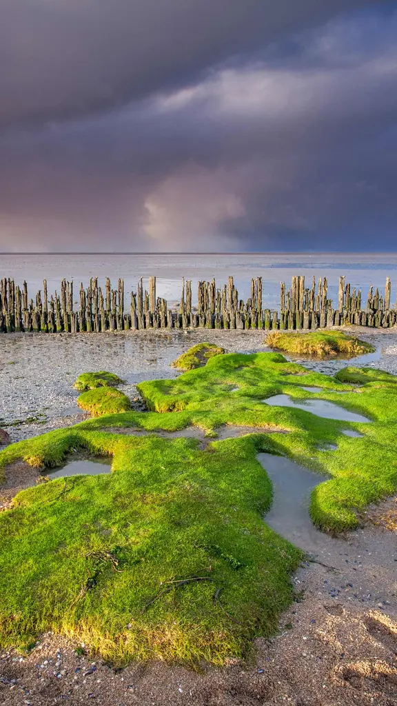 Eco di mare e cielo