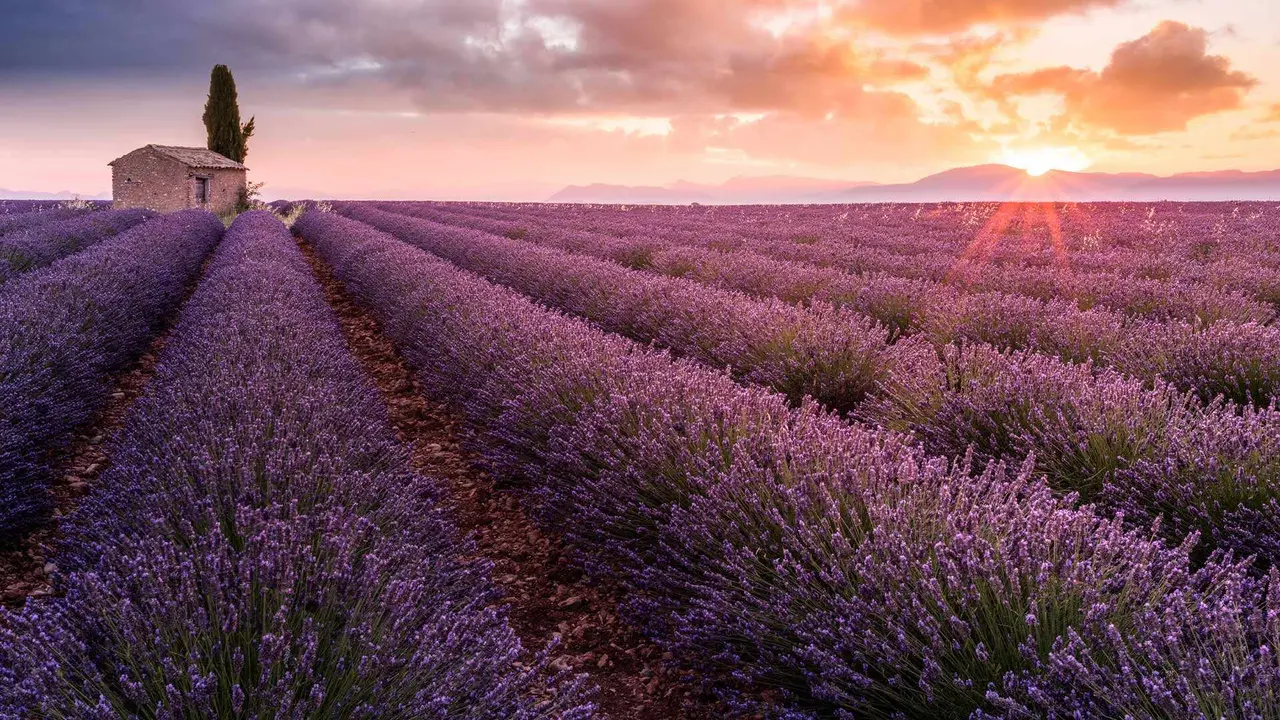 Un petit coin de paradis proven&ccedil;al