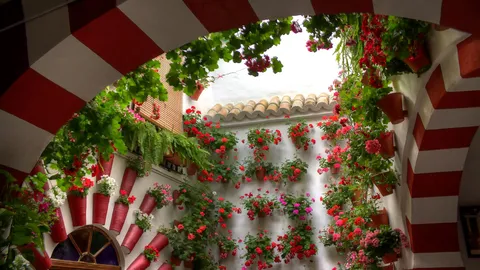 Tradici&oacute;n en cada rinc&oacute;n