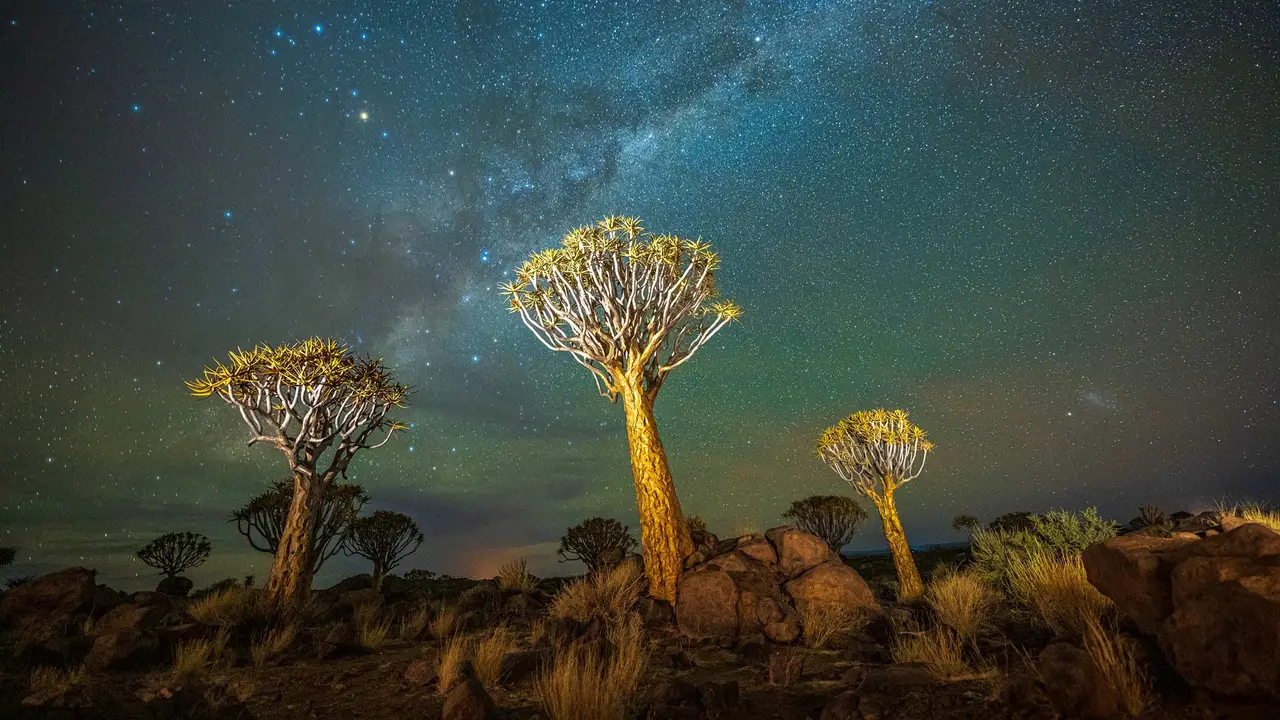 Il verde, il cielo e l'Universo intero