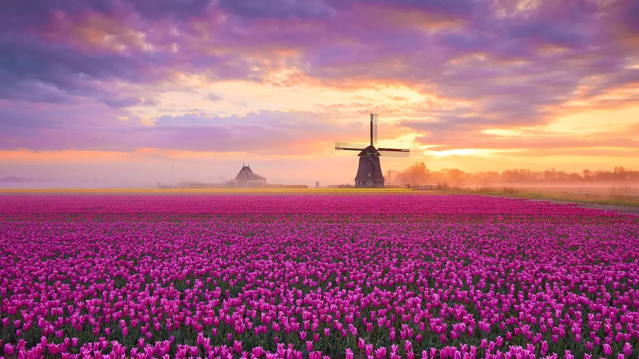 Aprile in Fiore