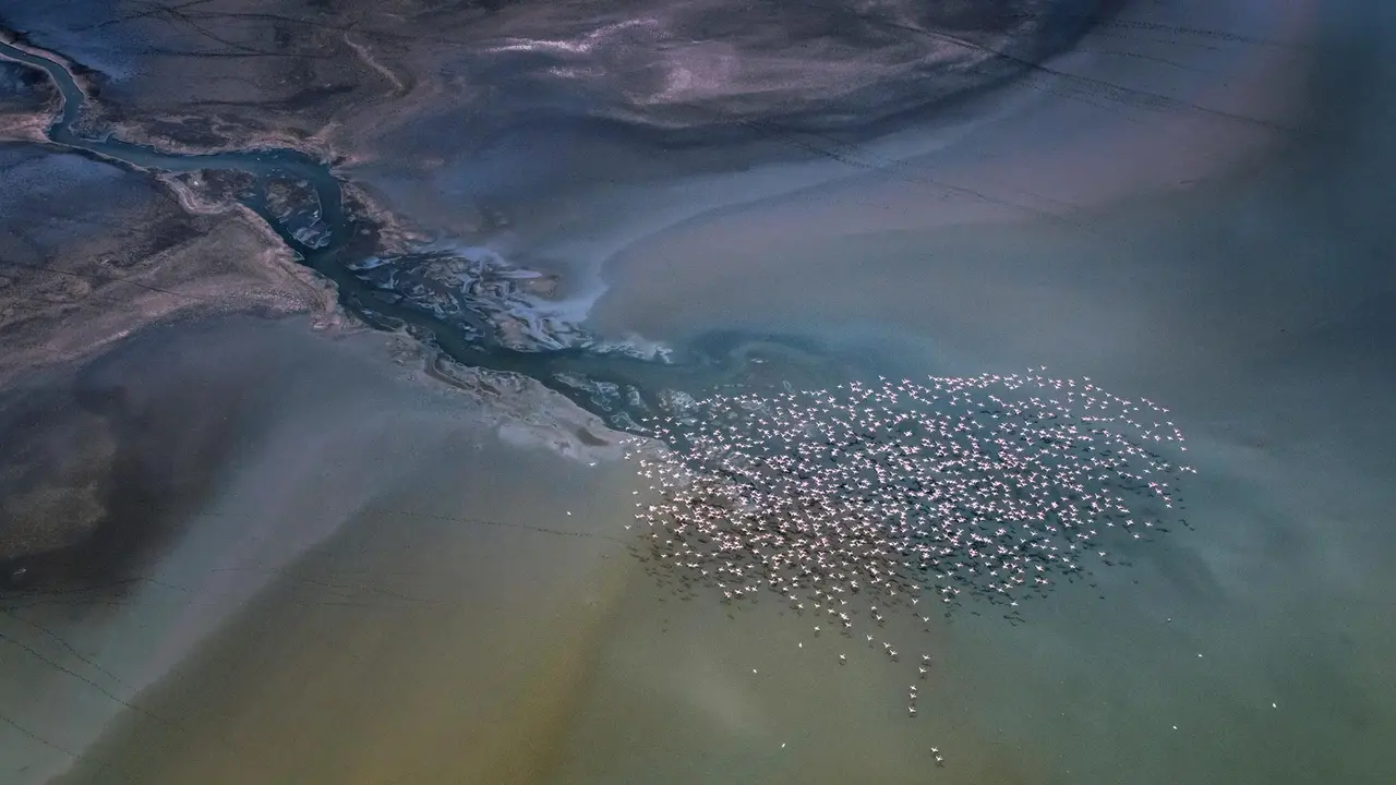 Bird's-eye view