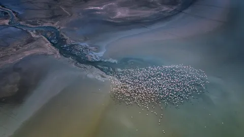 Bird's-eye view