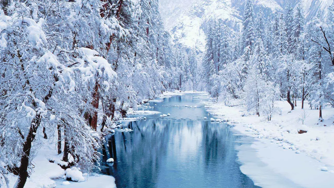 Frozen reflections
