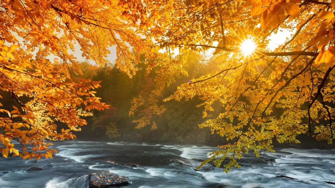 Ontario's wild heart