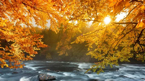 Ontario's wild heart