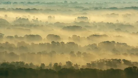 根系自由生长的地方
