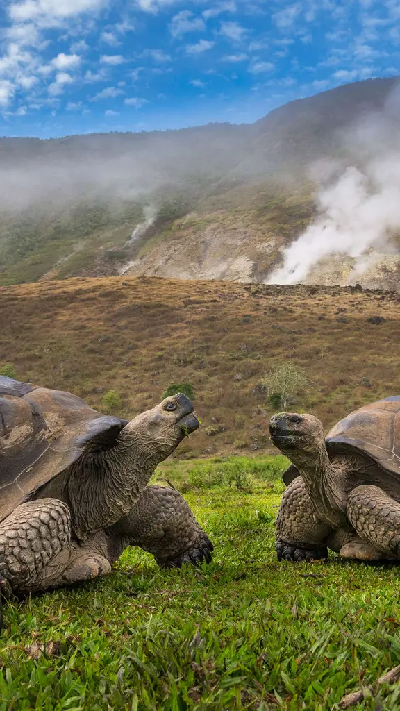 Hogar, dulce volc&aacute;n