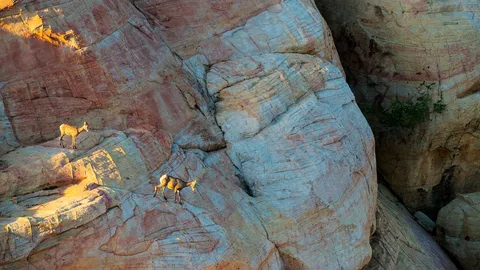 Una escalada compleja