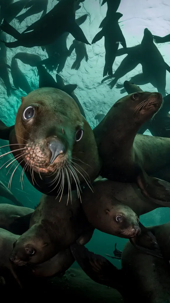 Tutti per uno, uno per tutti!