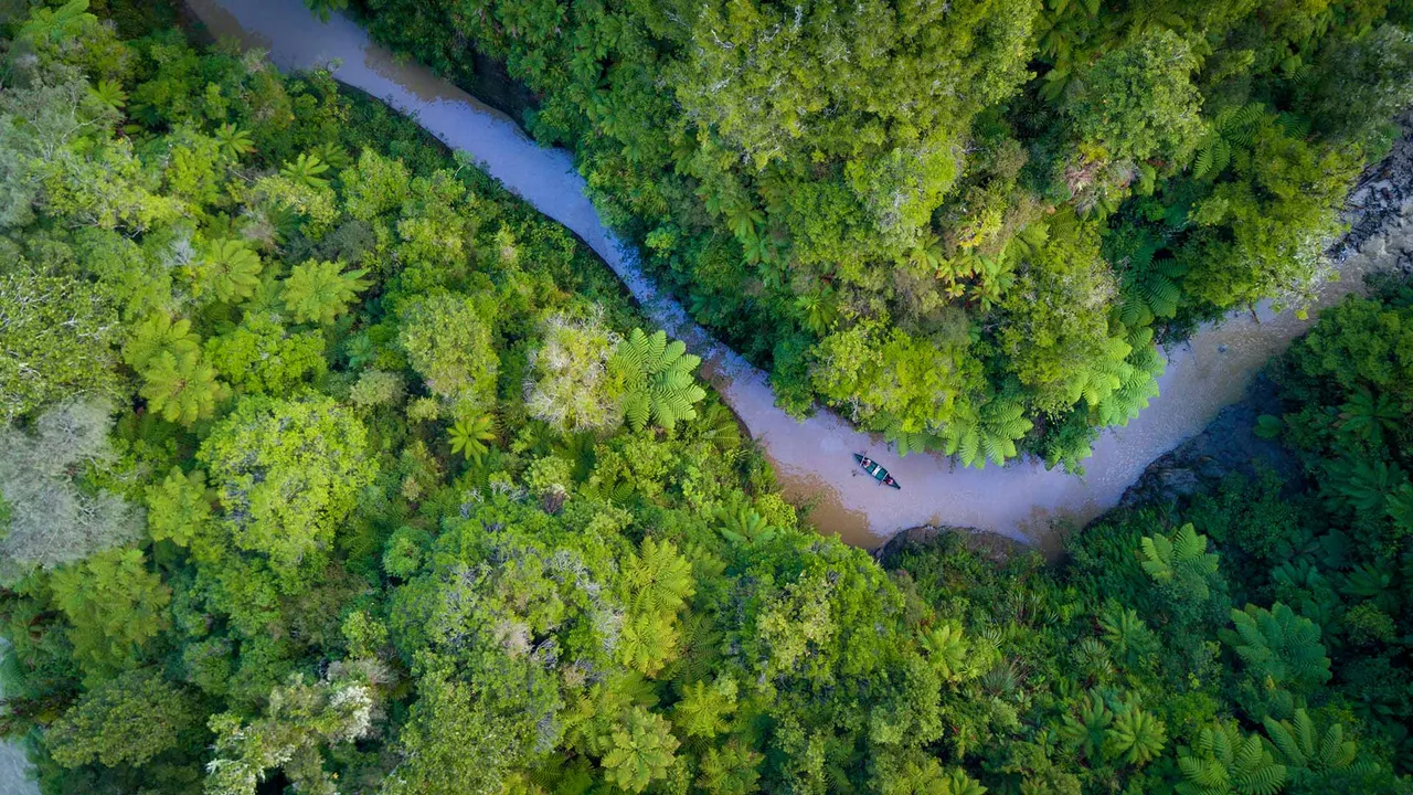 Fluye en la naturaleza