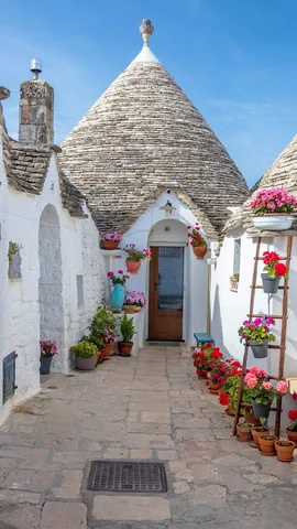 Trulli, c&rsquo;est pas fini !