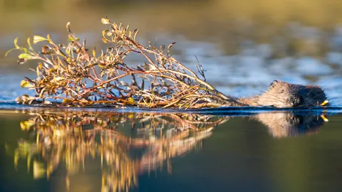 Look, I'm a branch manager!