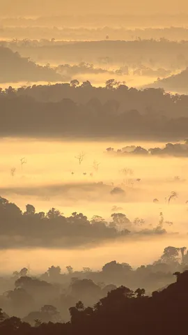 Getting lost in the mist