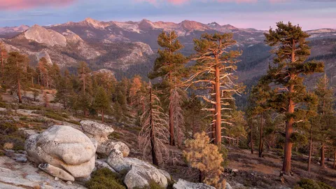 Echoes from the Clark Range