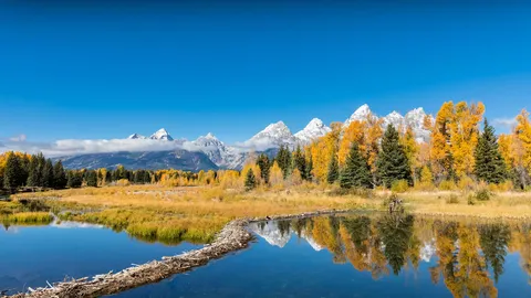La beaut&eacute; &agrave; l'&eacute;tat pur