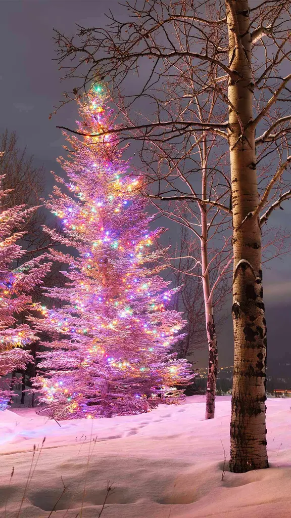 Merry Christmas!