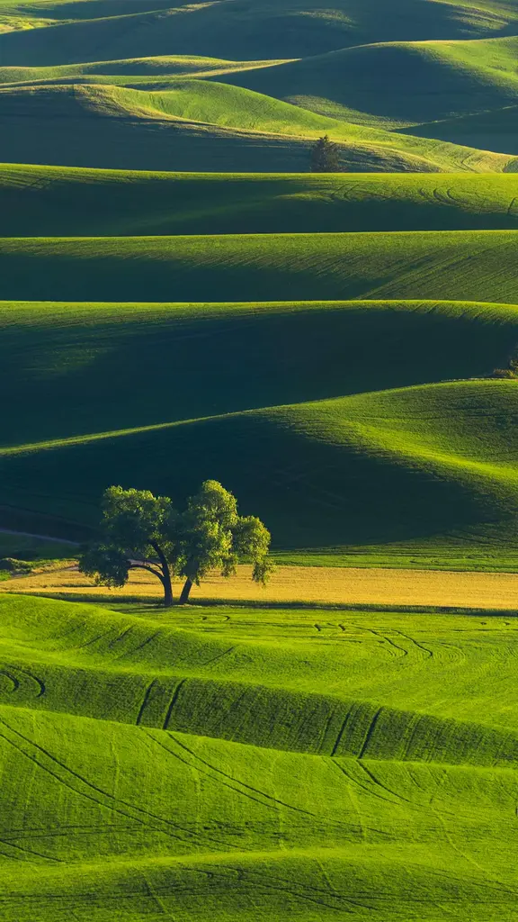 Panismo e Poesia?
