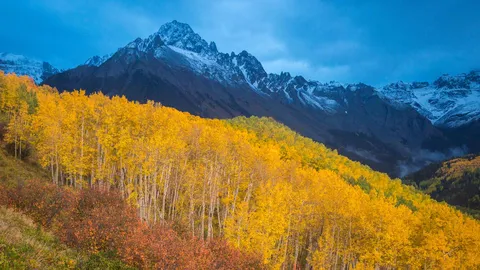 黄金に染まる山
