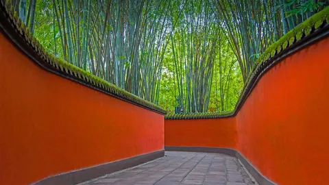 武侯祠内红墙和竹林掩映下的小巷，中国成都