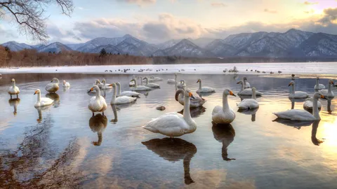 L&rsquo;eleganza fatta natura