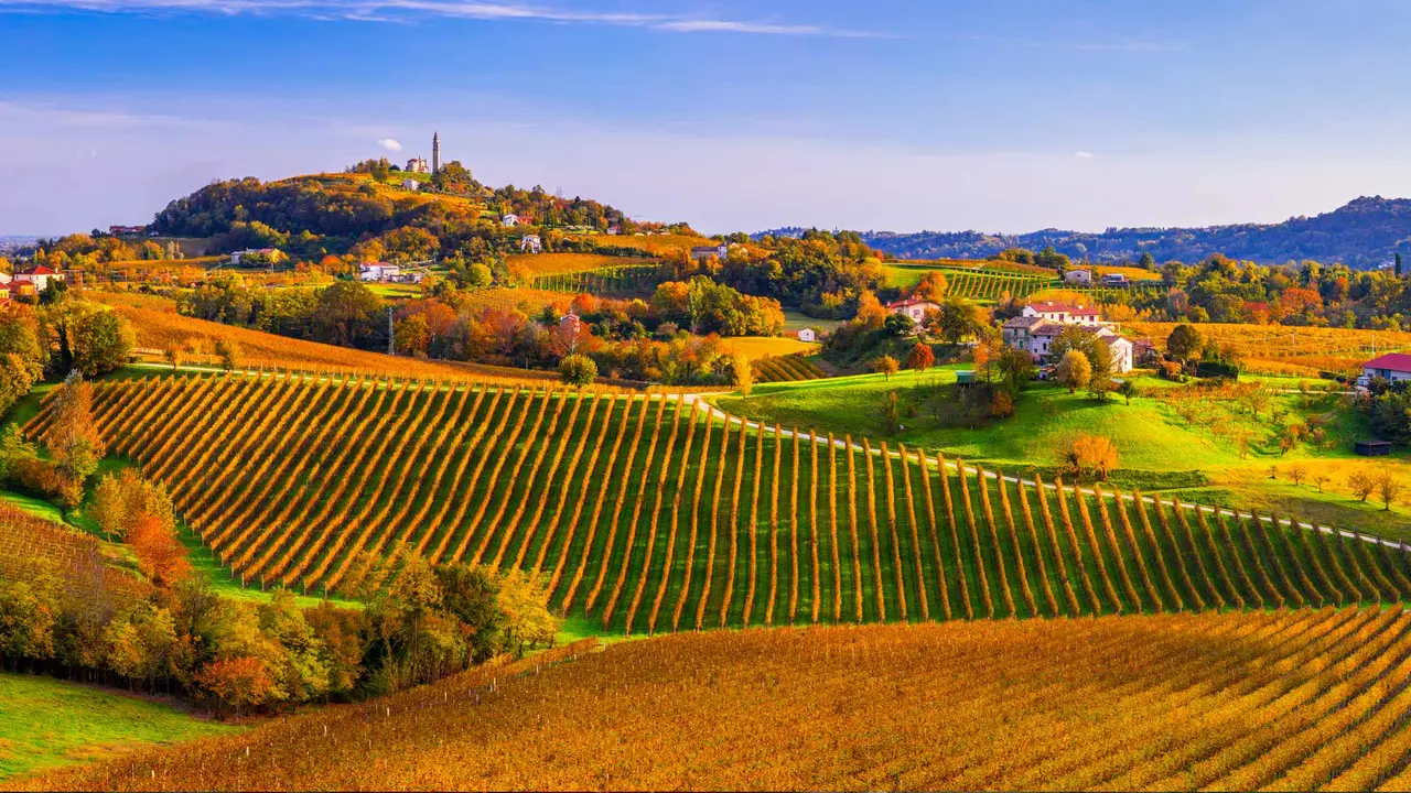 Un calice di vino?