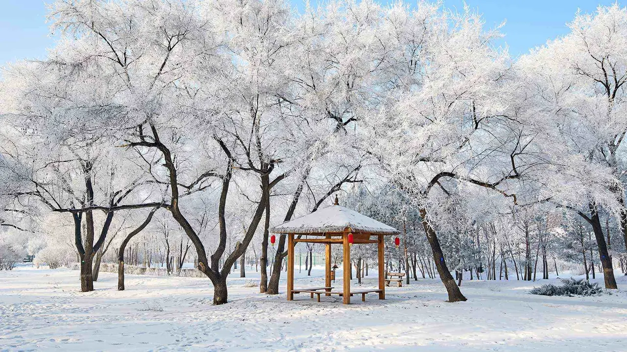 美丽的雾凇景色