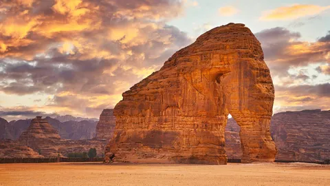 Un gigante gentile tra le dune