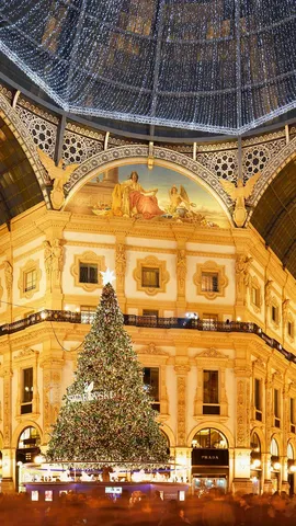 Vigilia di Natale