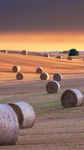 'Hay' there!