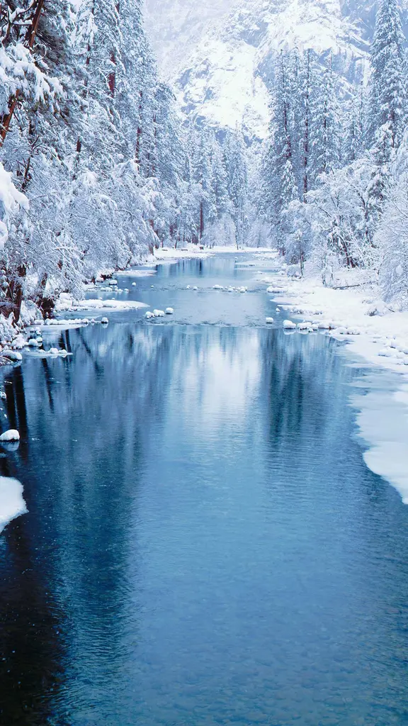 Frozen reflections