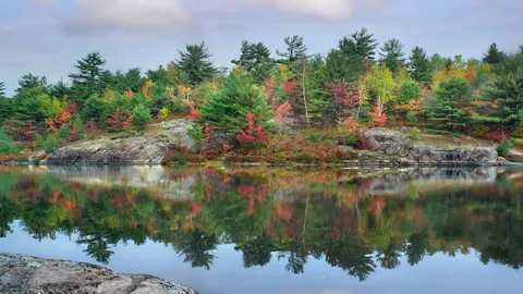 A place to reflect