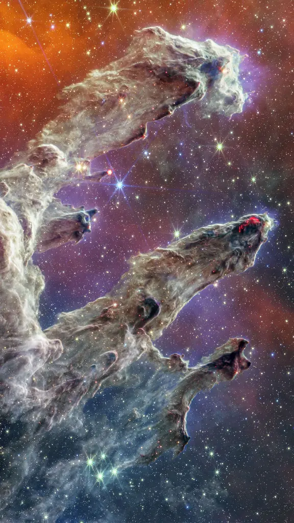 Universe in bloom