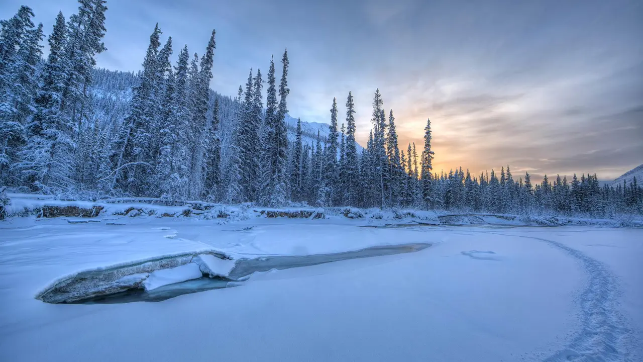 Are there any visits from Aurora yet?