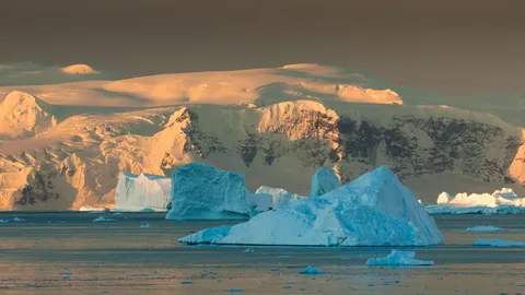 Protecting the last great wilderness