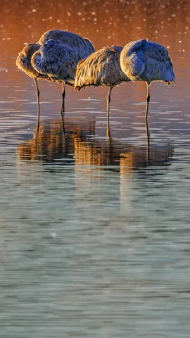 谁在打盹儿？