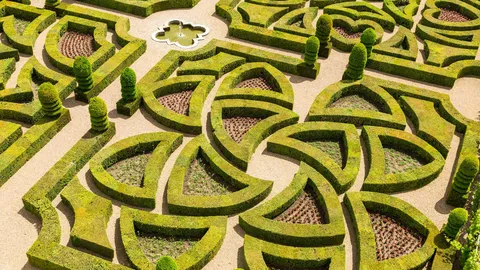 Geometrie in Bl&uuml;te