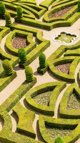 Geometrie in Bl&uuml;te