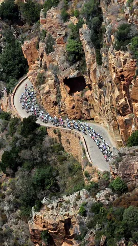 Saddle up for Le Tour!