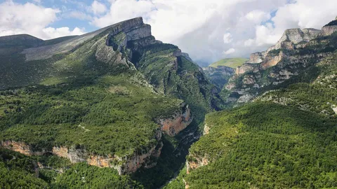 一路到顶峰