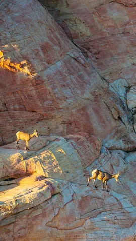 Una escalada compleja
