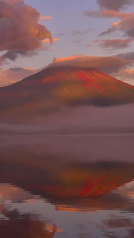 今日は富士山の日