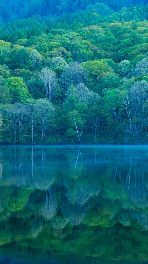 Um espelho que reflete a beleza da natureza
