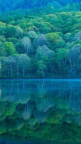 Um espelho que reflete a beleza da natureza
